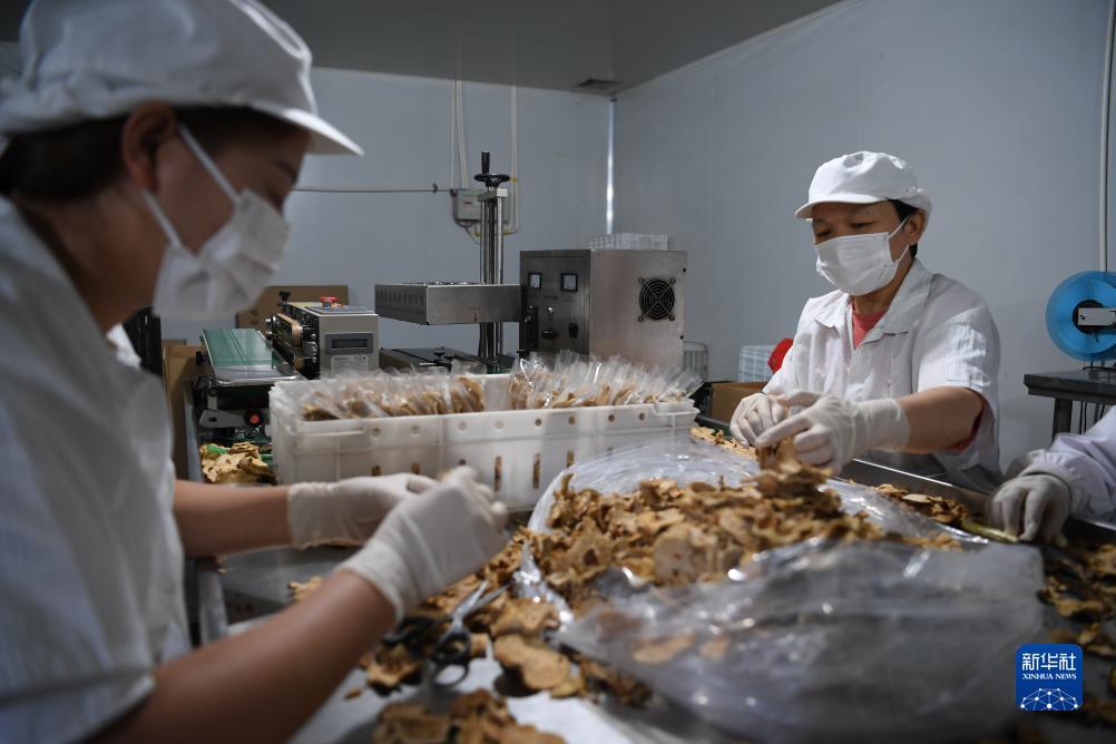 bbin游戏下载